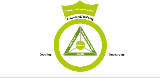 Vonboyen-consulting